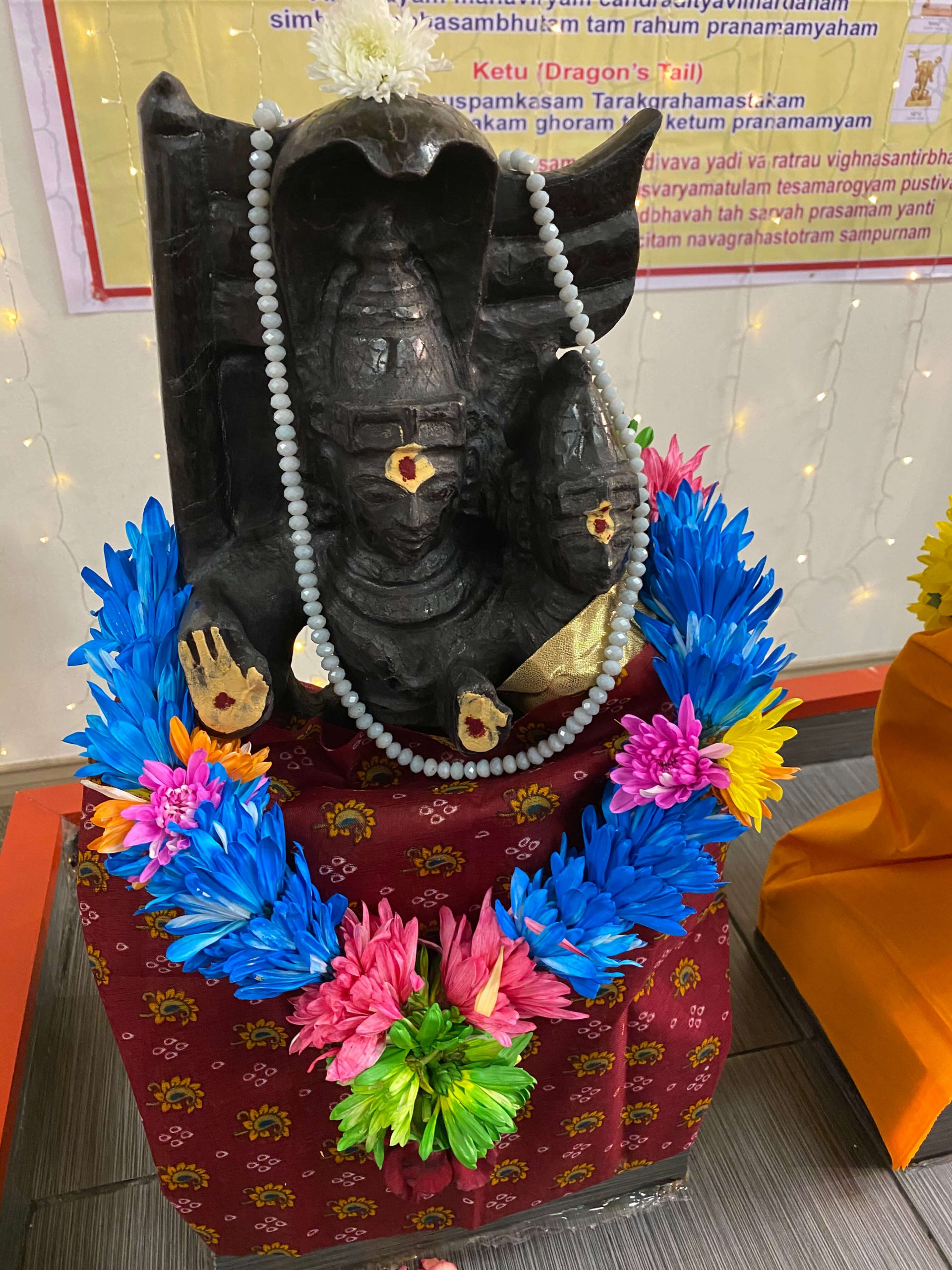 Ketu Graha (Planet South Node) Shanti Puja/Yagna