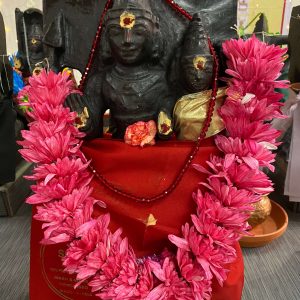 Mangala-Angaraka Graha (Planet Mars) Shanti