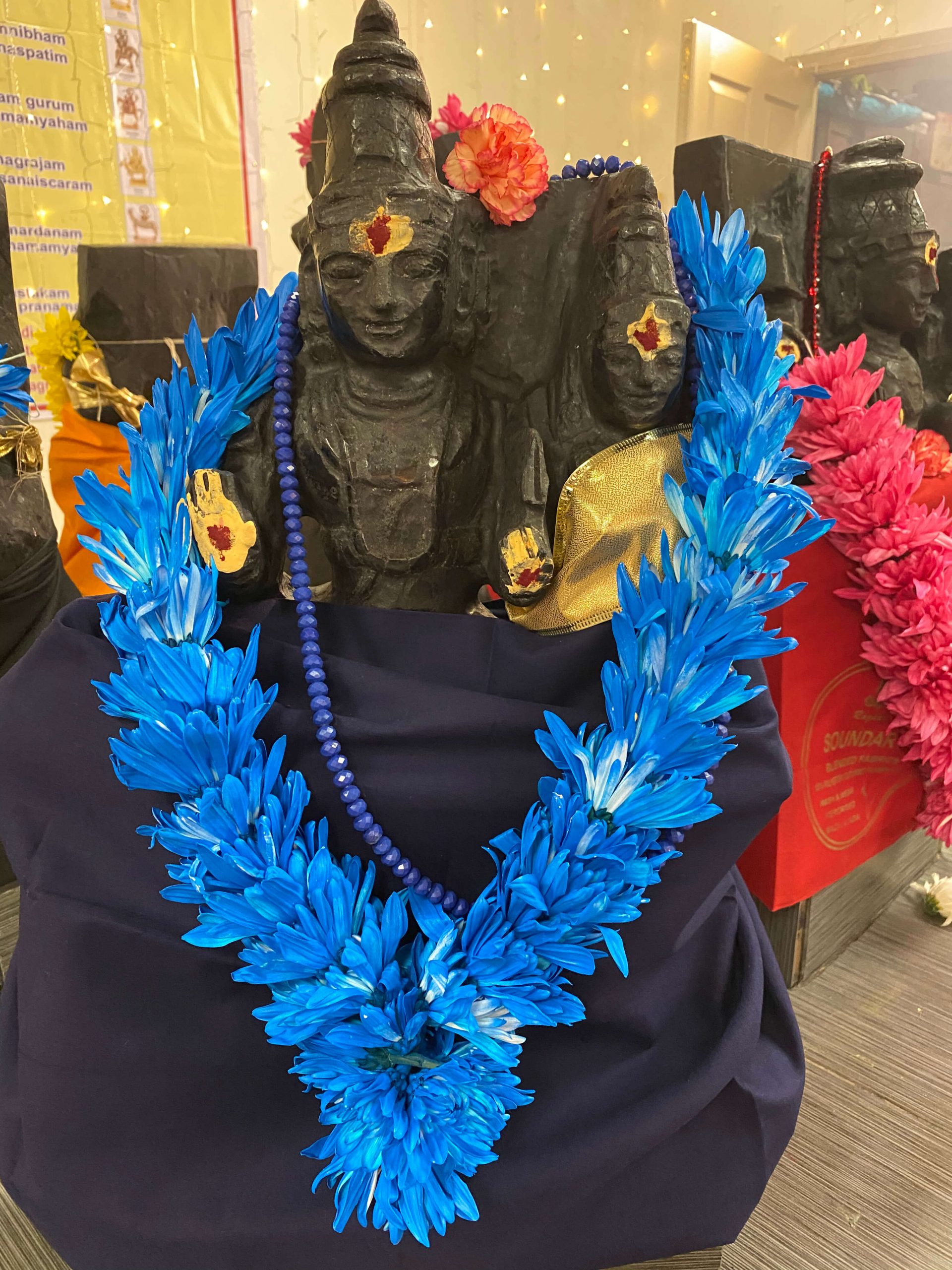 Rahu (North Node) Graha Shanti Puja/Yagna