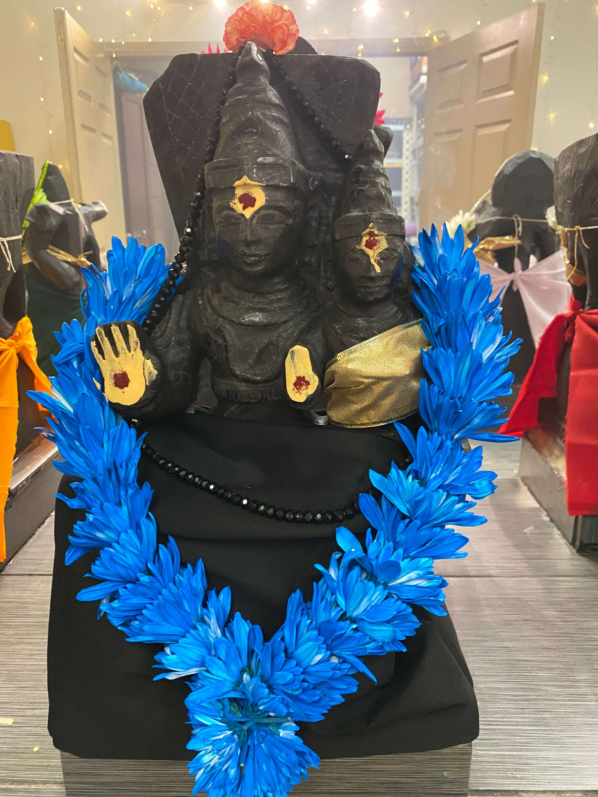 Shani Graha (Planet Saturn) Shanti Puja/Yagna