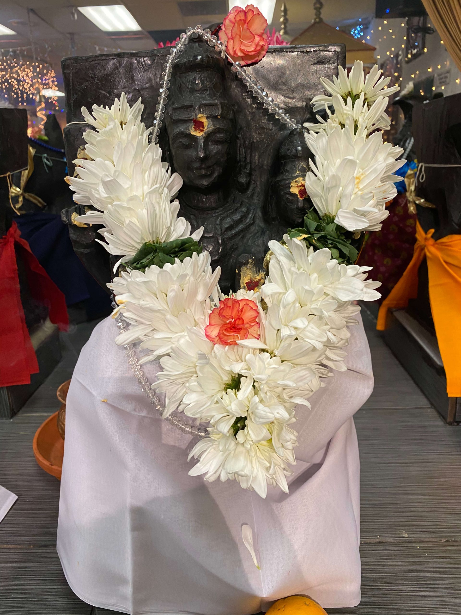 Sukra Graha (Planet Venus) Shanti