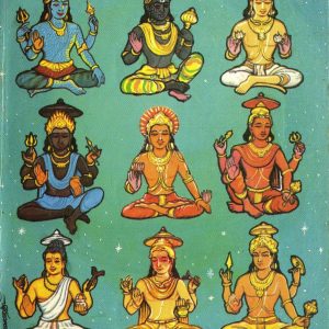 For appeasing all 9 Planets<br/>Navagraha Yagya on Full Moon Day – Thursday 23rd May 2024, Vaisakha Purnima